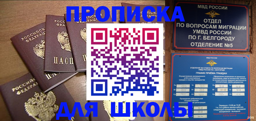 прописка гарантия в Светлом